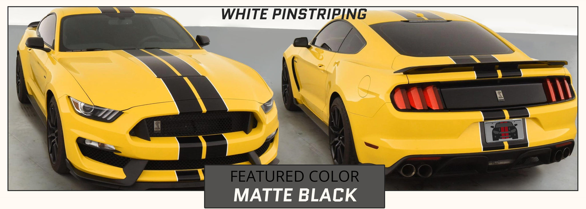 GT350 Racing Stripes with Pinstripes (Rally/Dual/Lemans) - Stripe Source