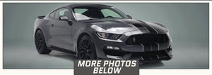 GT350 Racing Stripes with Pinstripes (Rally/Dual/Lemans) - Stripe Source