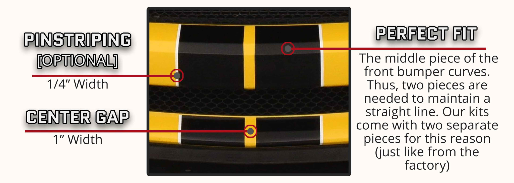 Ford Mustang Dual Rally Racing Stripes with Optional Pinstriping (2013-2014) - Stripe Source