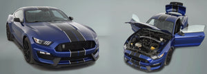 GT350 Racing Stripes with Pinstripes (Rally/Dual/Lemans) - Stripe Source