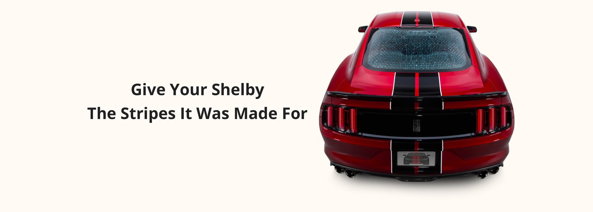 Shelby GT350 Stripes with Pinstriping (Dual Rally Racing Stripes for a Ford Mustang, 2015-2020) - Stripe Source