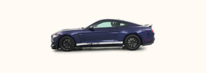 Shelby GT350 Side Stripes with GT350 Text (2015-2020) - Stripe Source